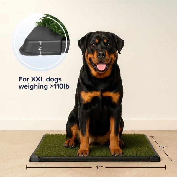 Ultimate Indoor Dog Potty Solution