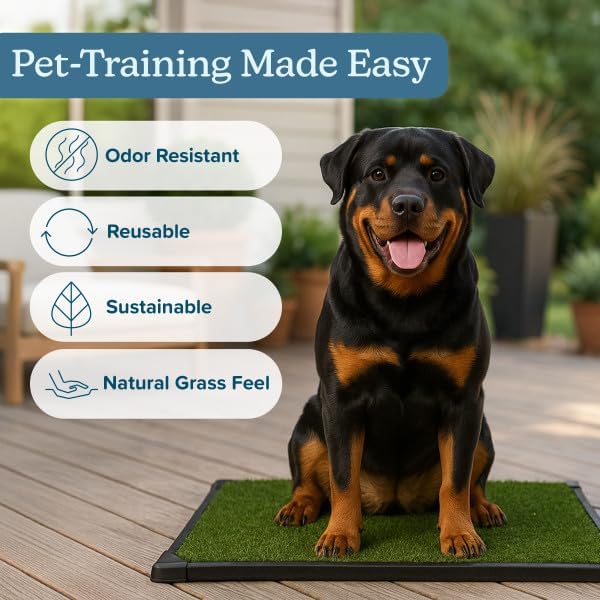 Ultimate Indoor Dog Potty Solution
