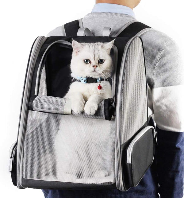 Bubble Backpack for Pets