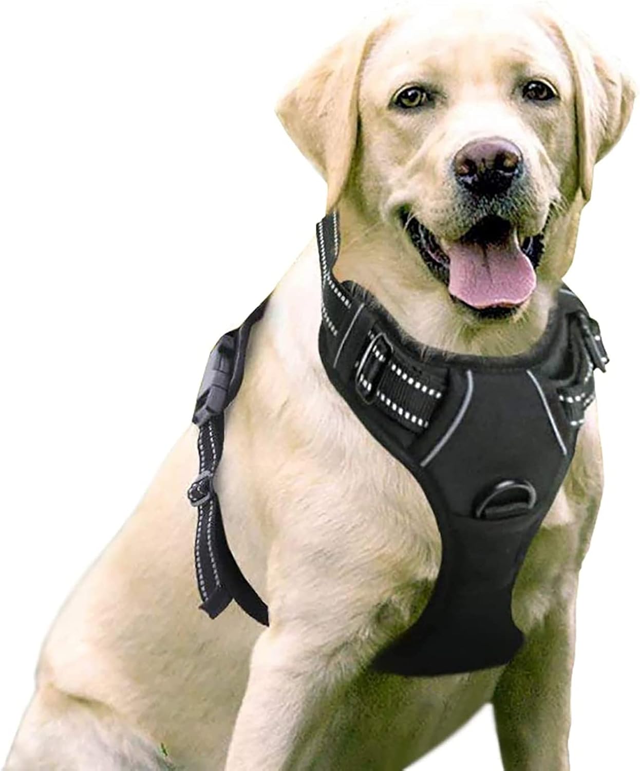 No-Pull Dog Harness