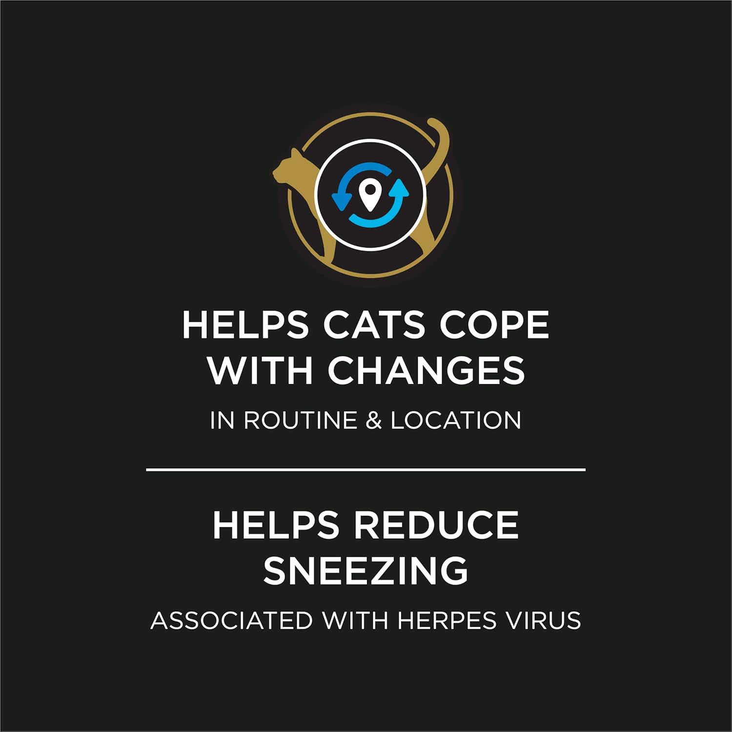 Calm Cat Companion Care