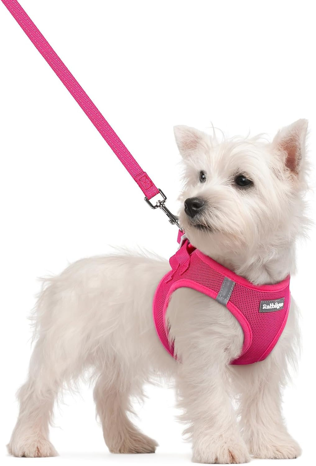 Soft Puppy Harness and Leash Set