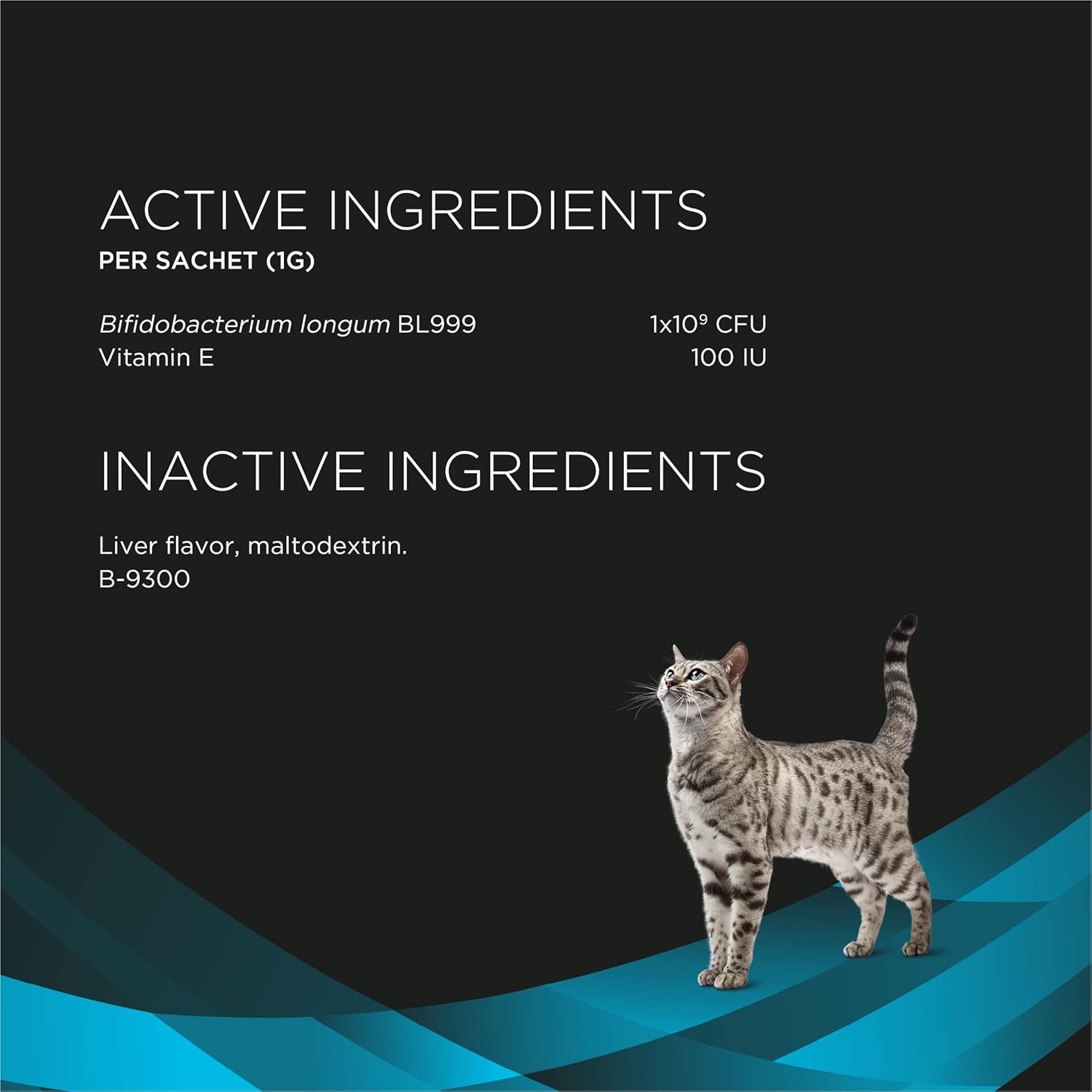 Calm Cat Companion Care