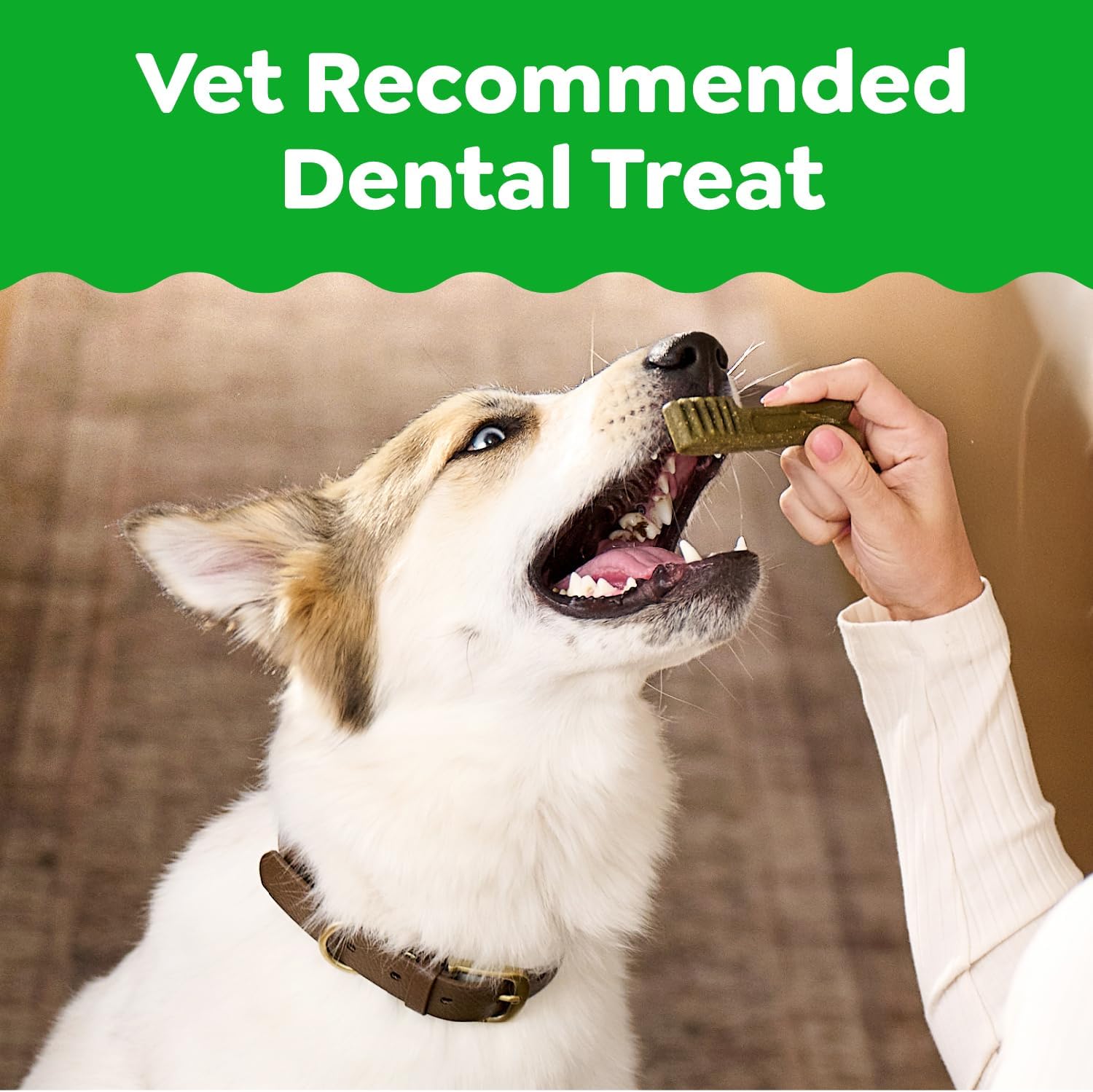 Greenies Natural Dog Dental Treats