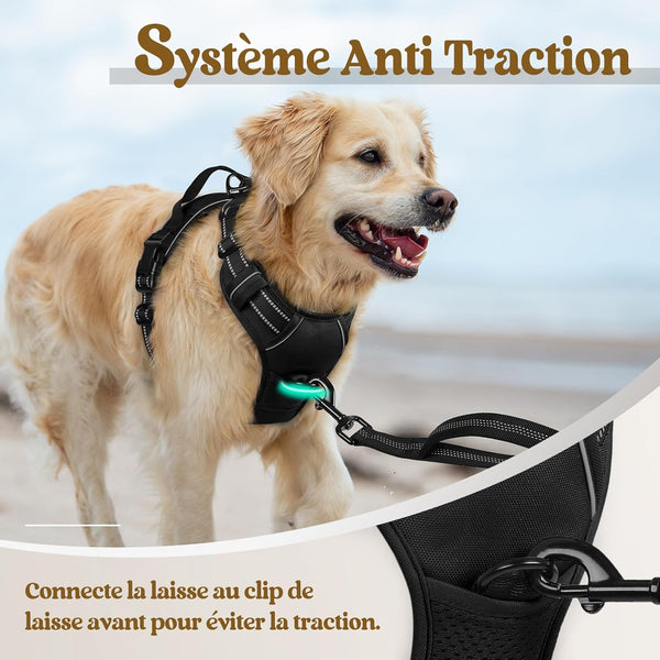 No-Pull Dog Harness