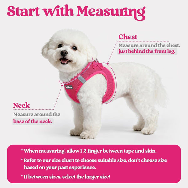 Soft Puppy Harness and Leash Set