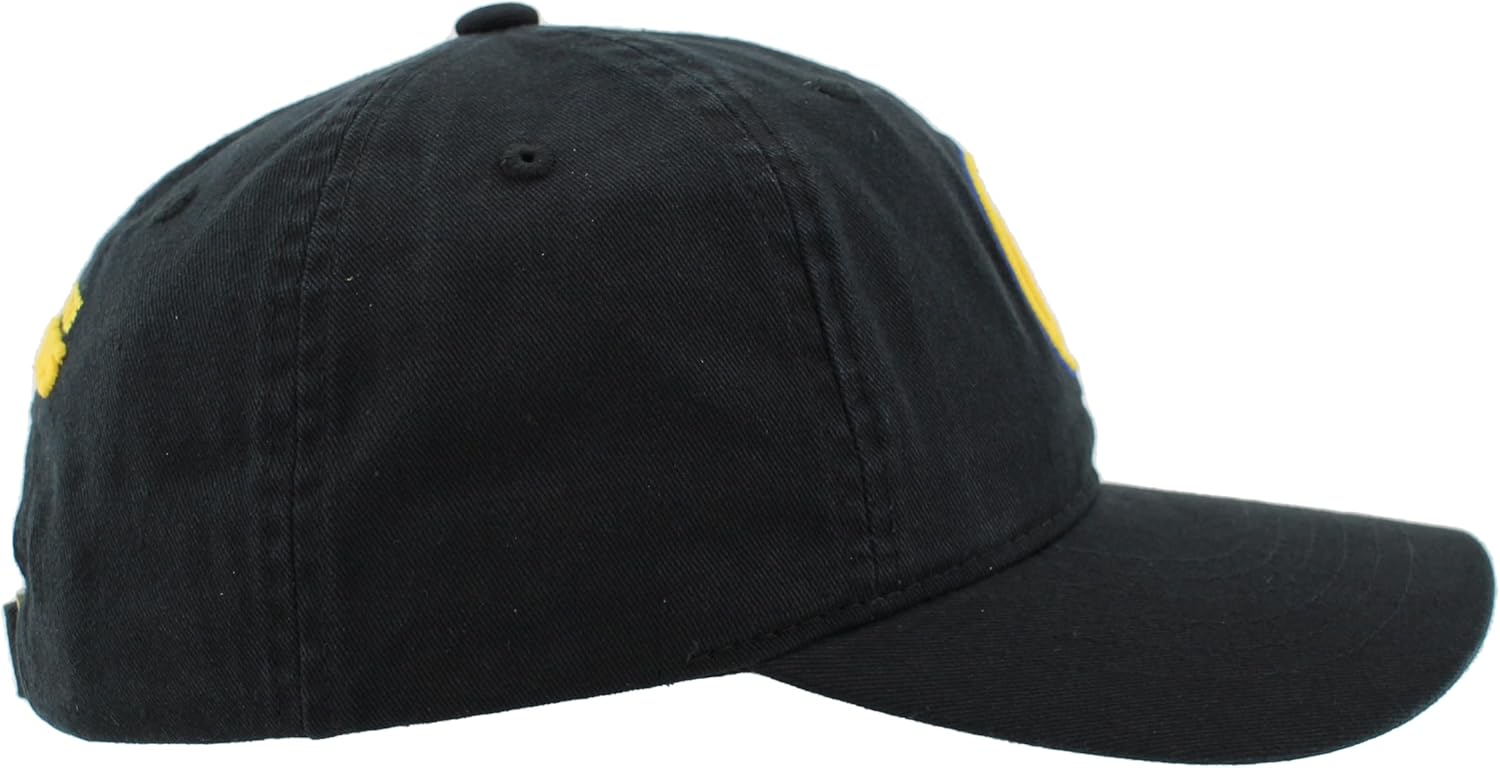 NBA Icon Adjustable Cap