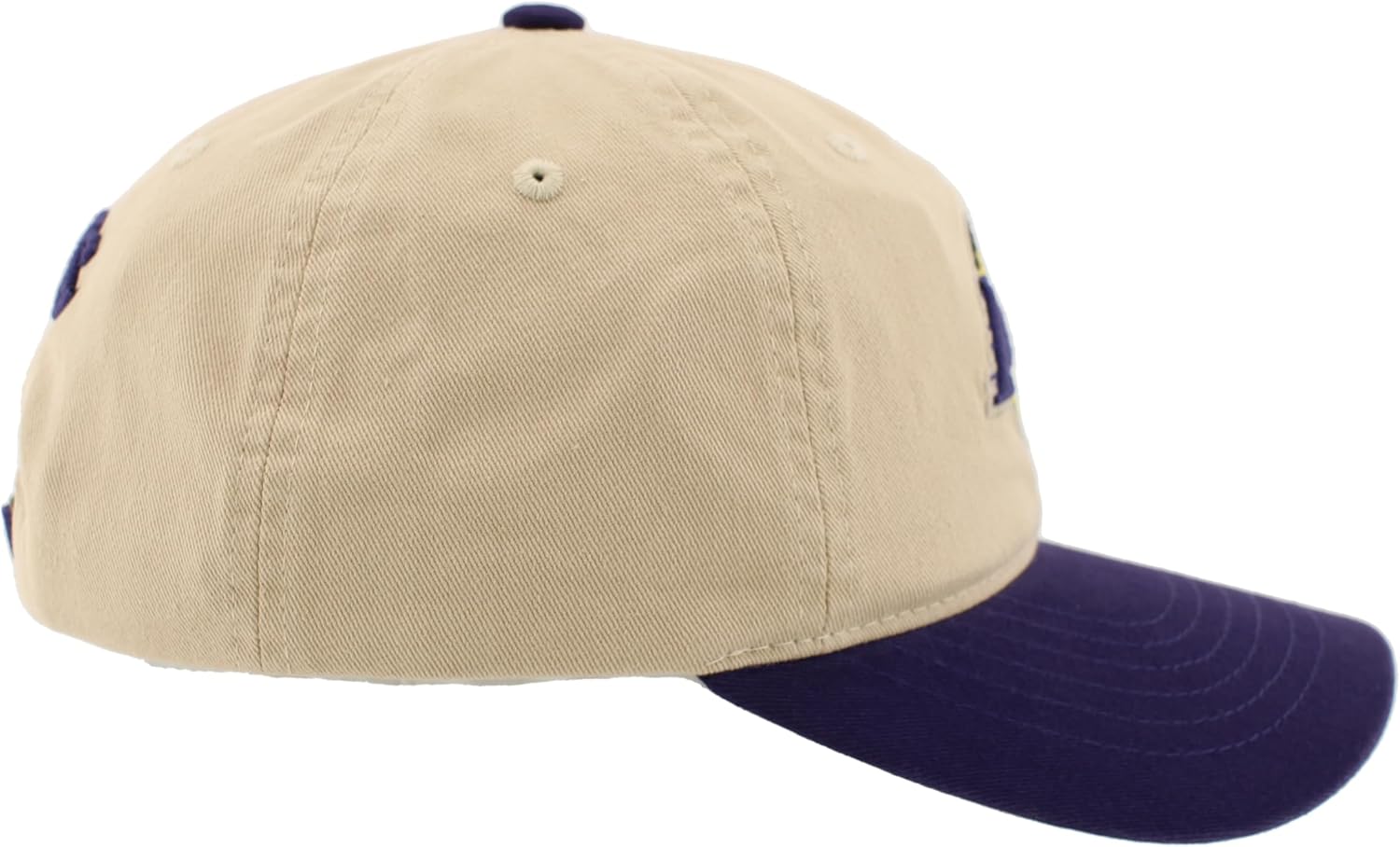 NBA Scholarship Icon Cap