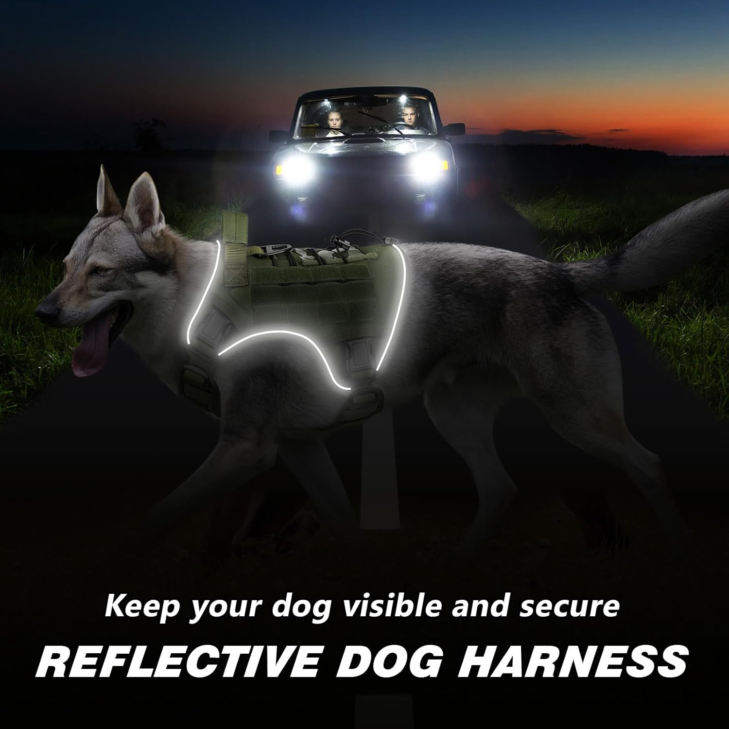 Tactical Dog Harness Pro