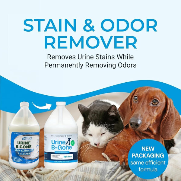 Pet Stain & Odor Solution