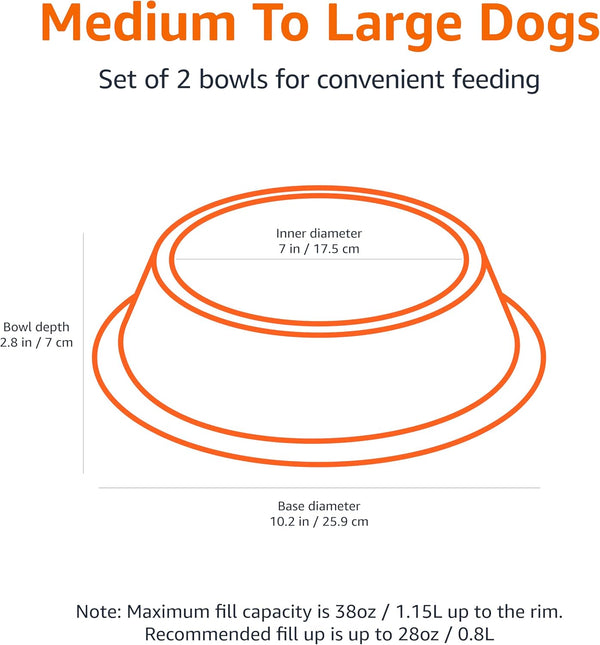 Stainless Steel Pet Bowls Set