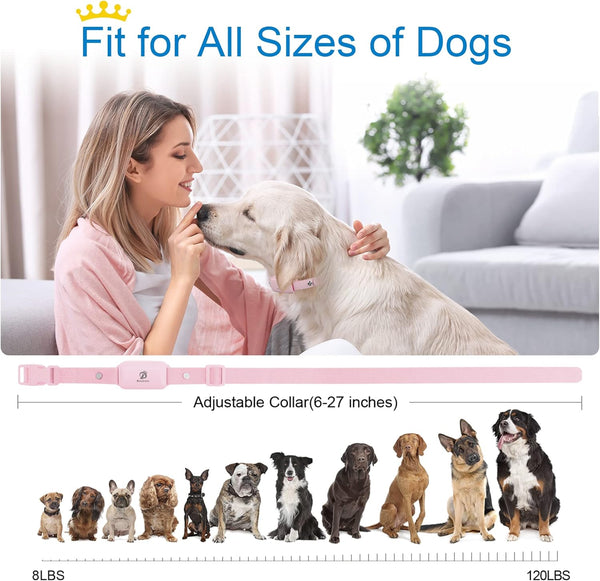 Gentle Paws Dog Trainer