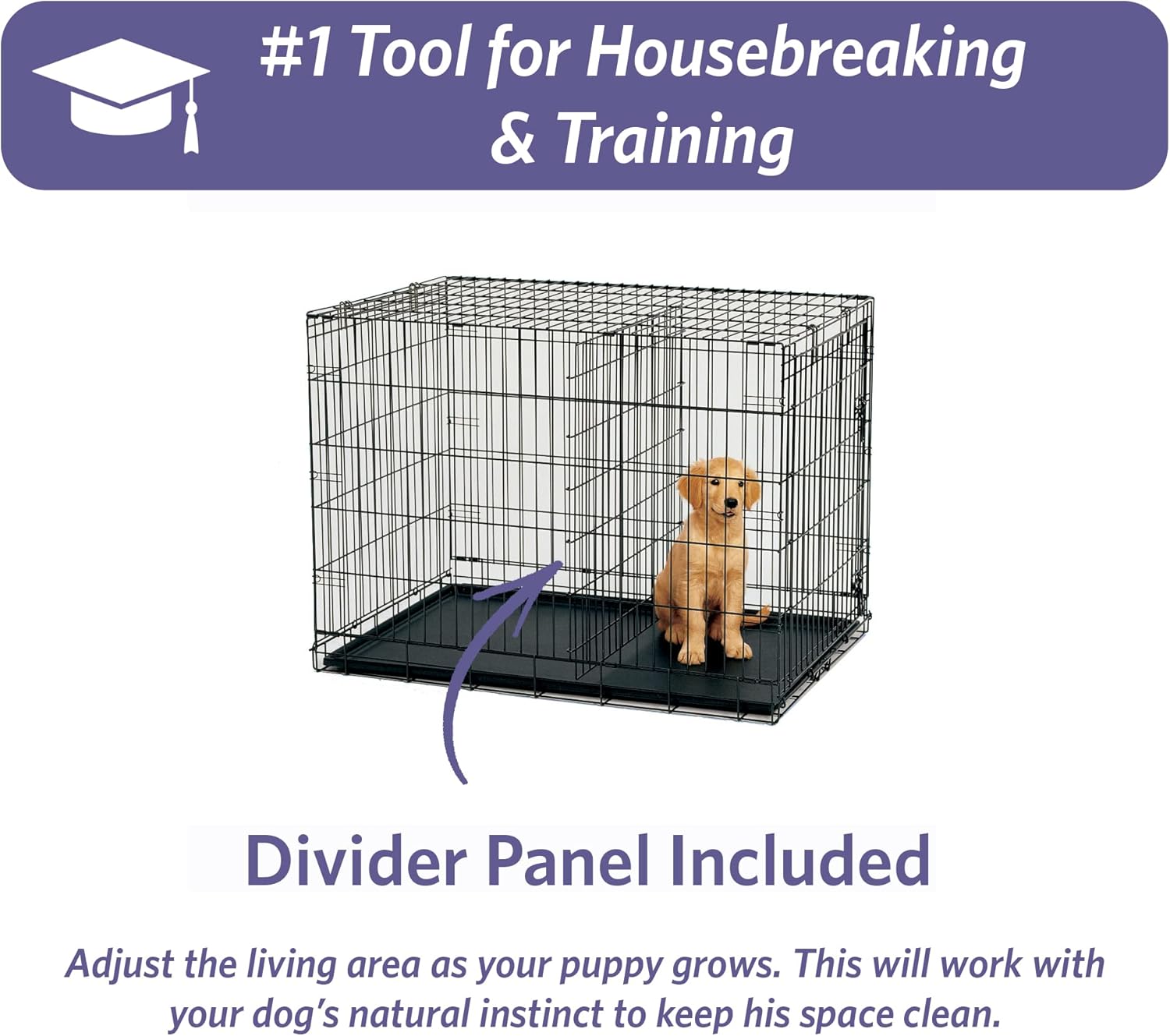 Ultimate Folding Dog Crate