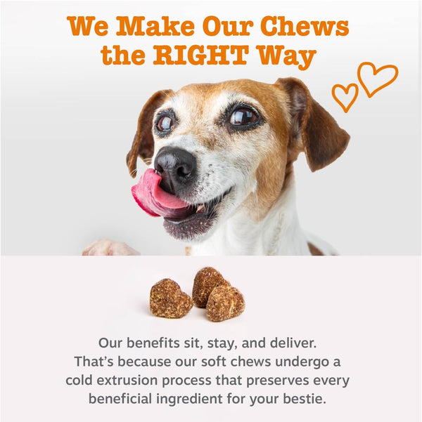 Pawsome Allergy Relief Chews