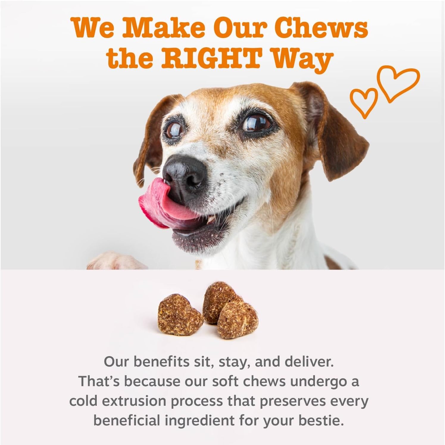 Pawsome Allergy Relief Chews