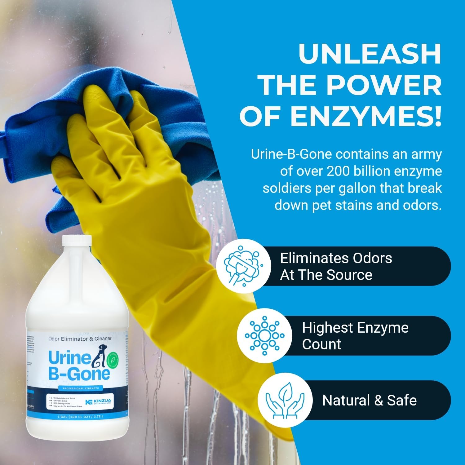 Pet Stain & Odor Solution