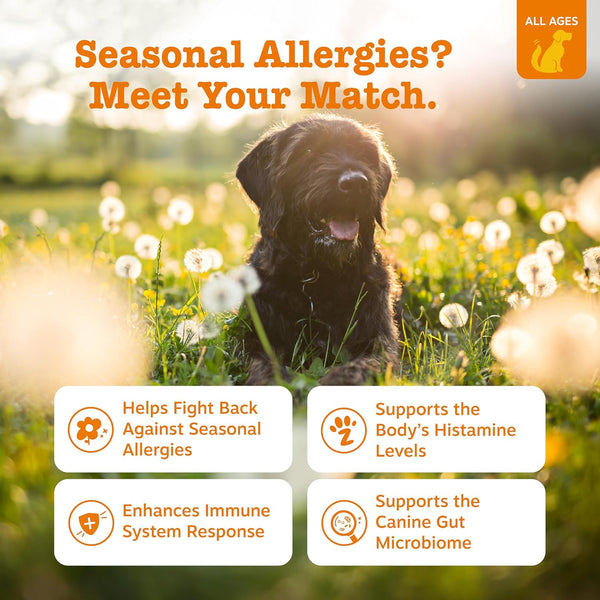 Pawsome Allergy Relief Chews
