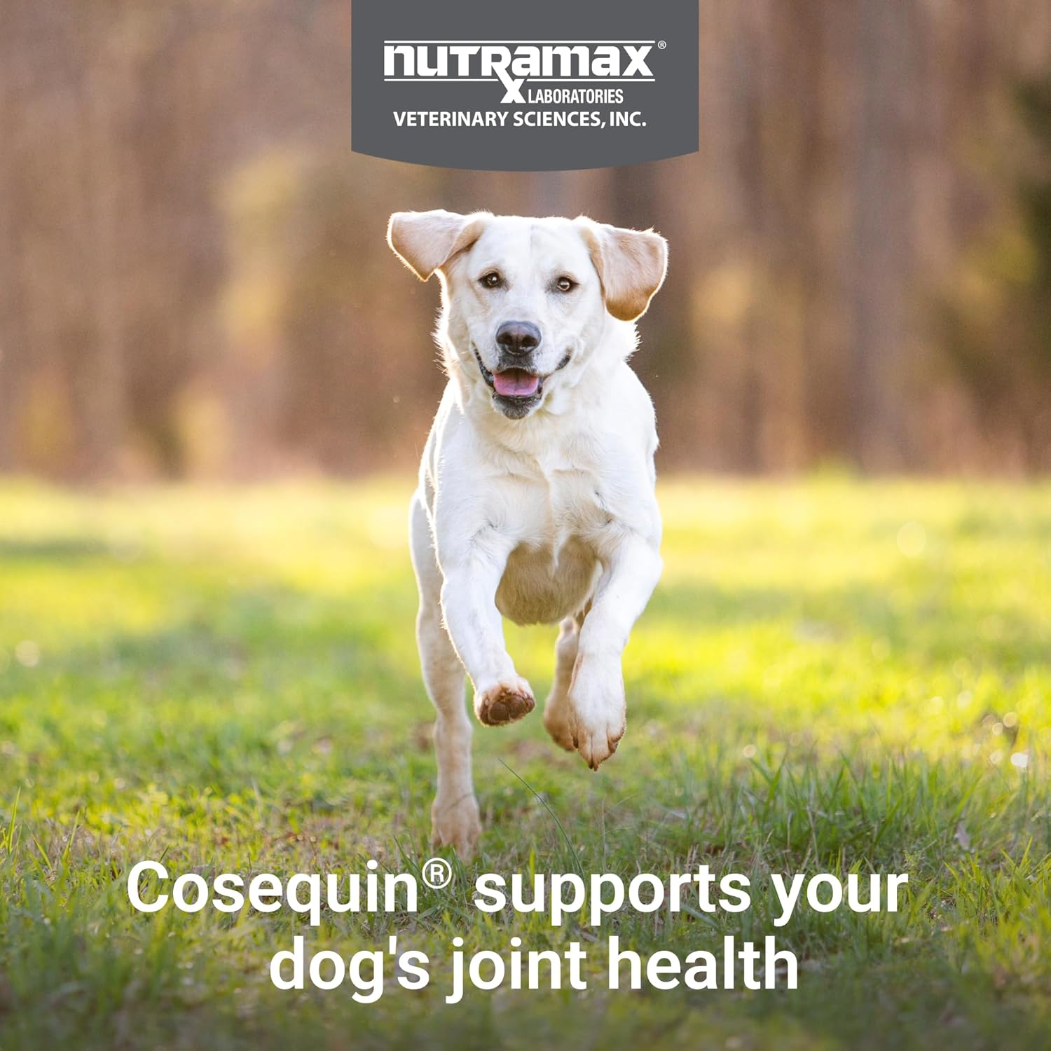 Cosequin Soft Chews for Dogs