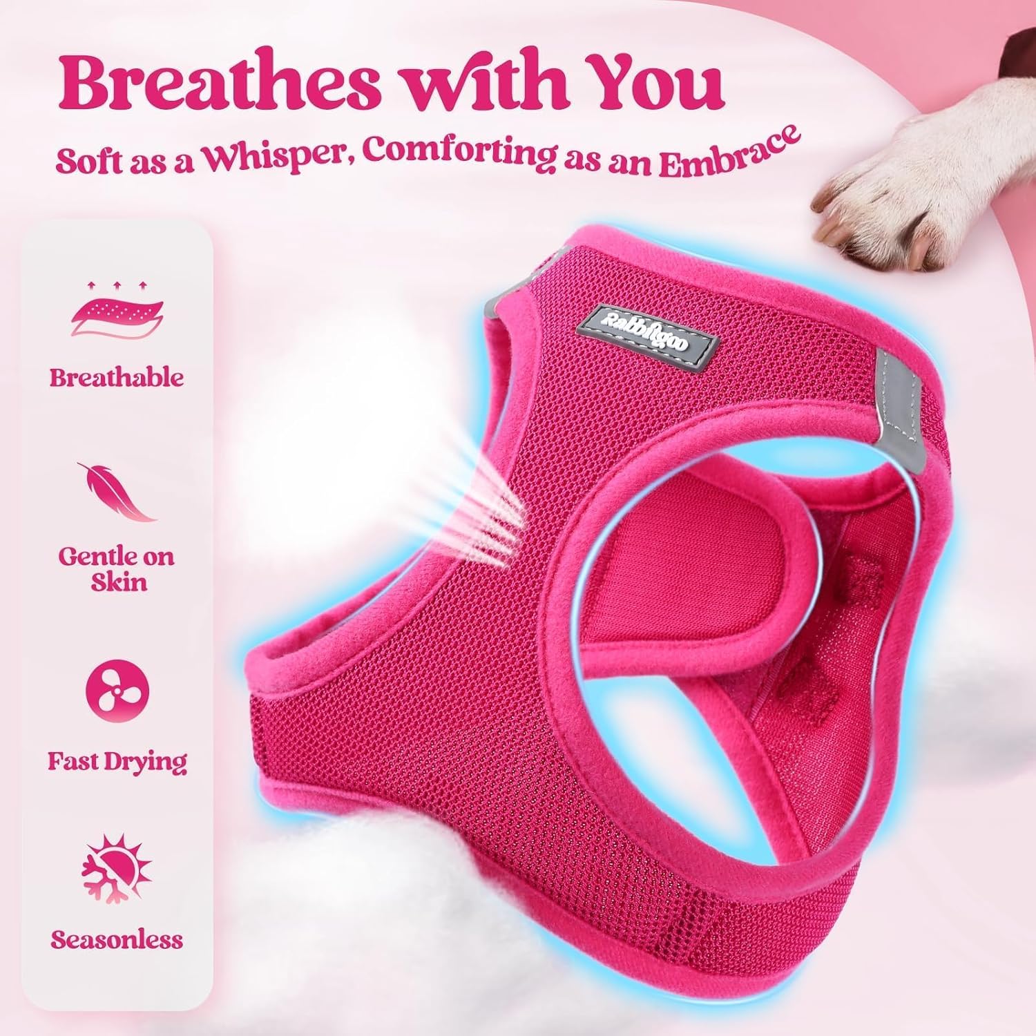 Soft Puppy Harness and Leash Set
