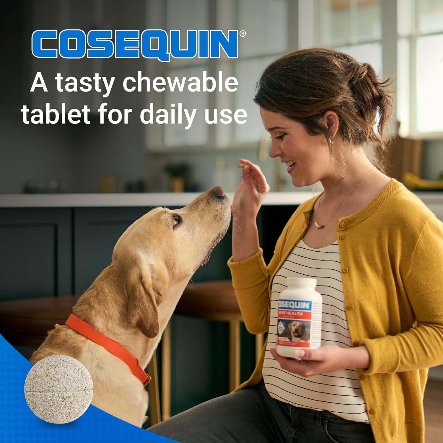 Cosequin Dog Joint Chews