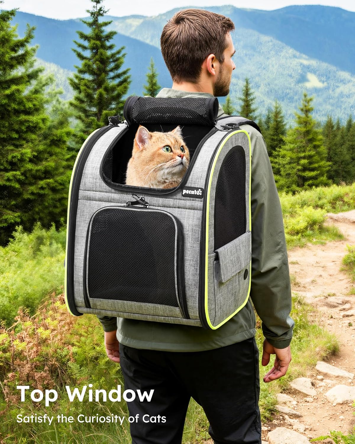 Comfort Paws Cat Backpack