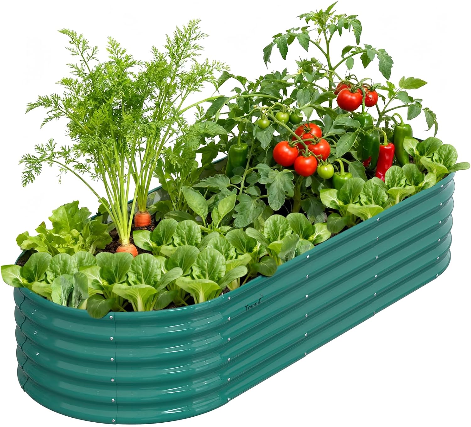 Easy Grow Garden Bed