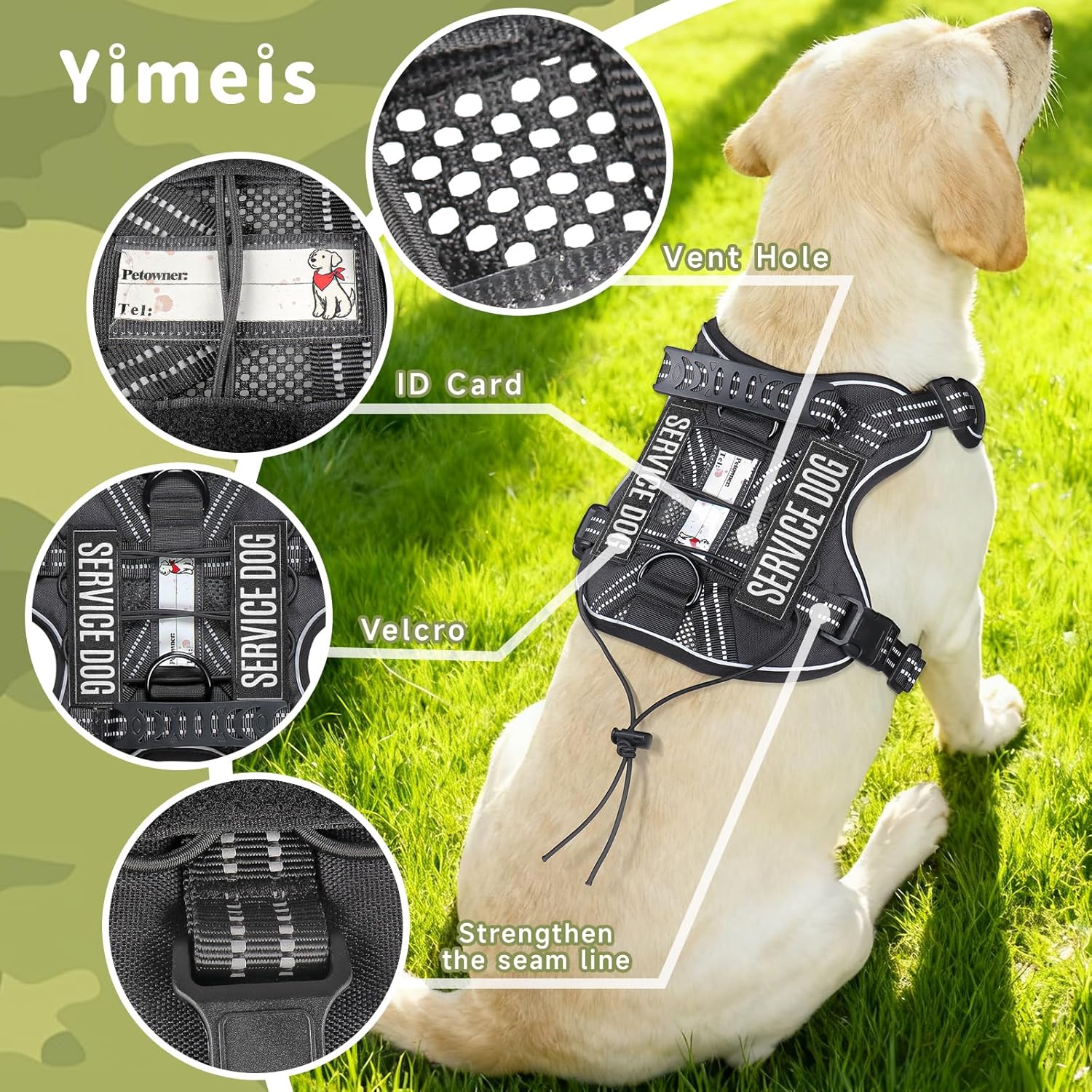 Emotional Support Dog Gear Set