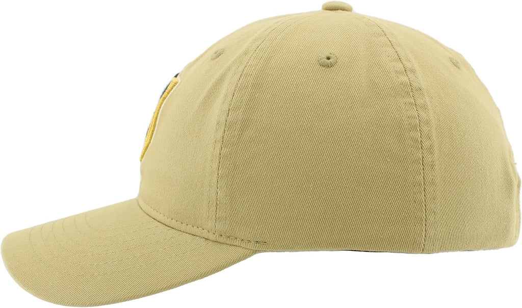 NHL Team Spirit Cap