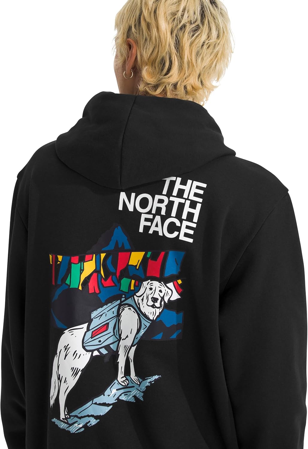 Sunlit Summit Men's Hoodie