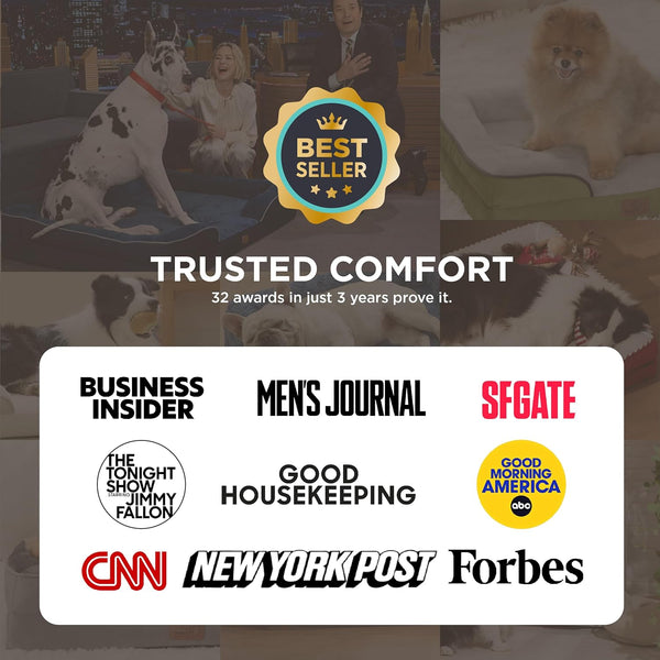 Cozy Orthopedic Pet Couch