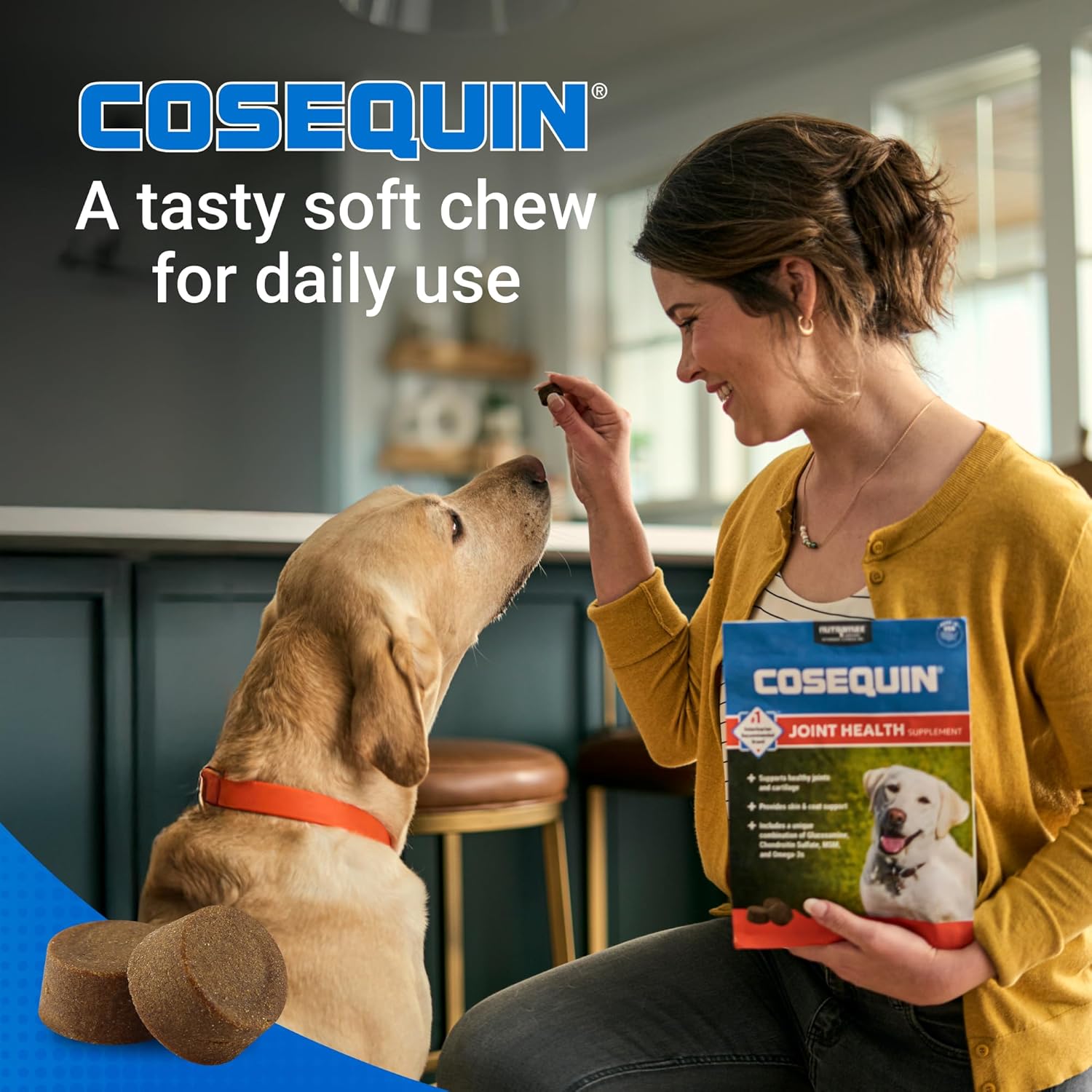 Cosequin Soft Chews for Dogs