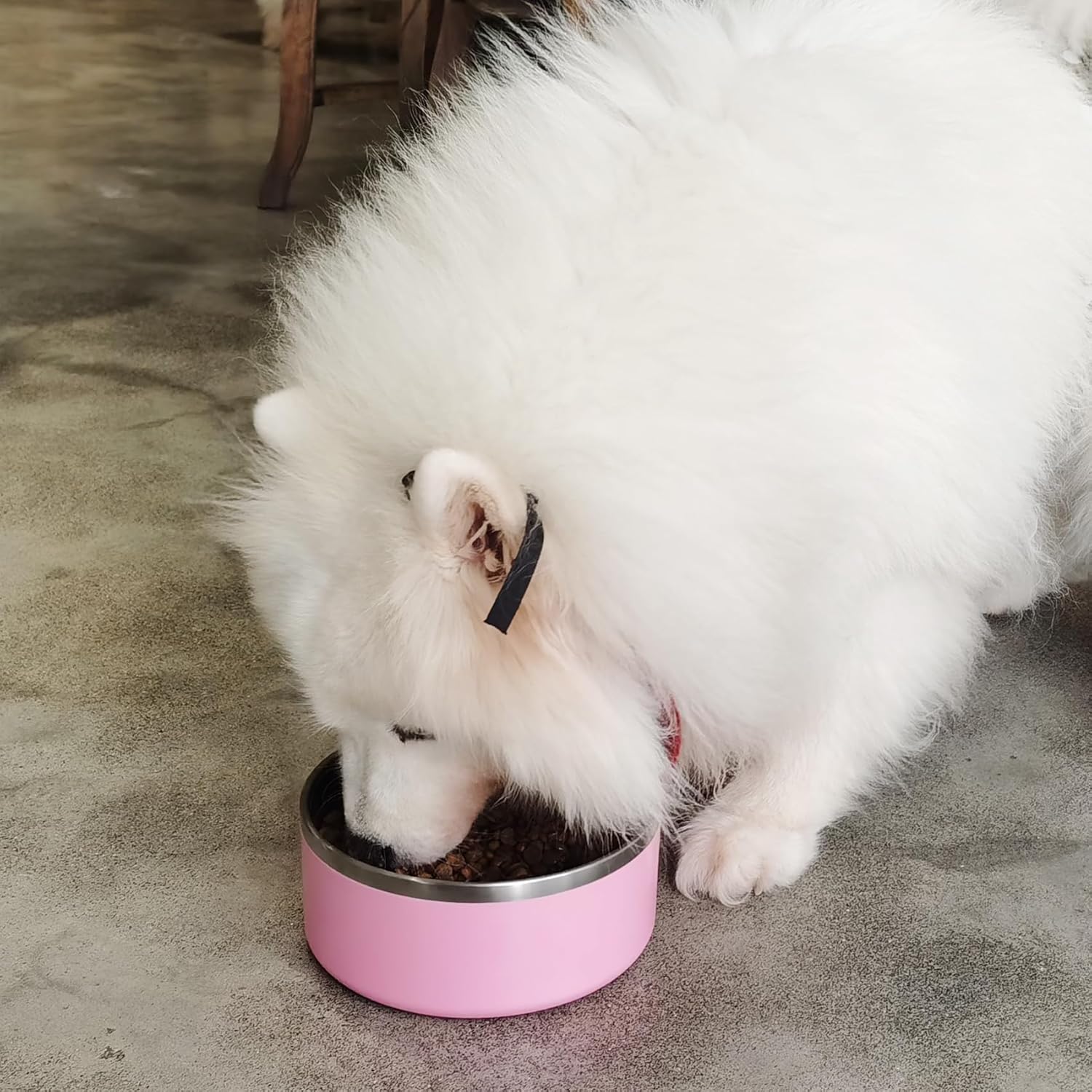 Pink Non-Slip Dog Bowls