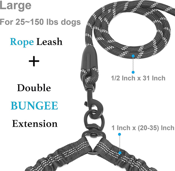 Tangle-Free Dual Dog Leash