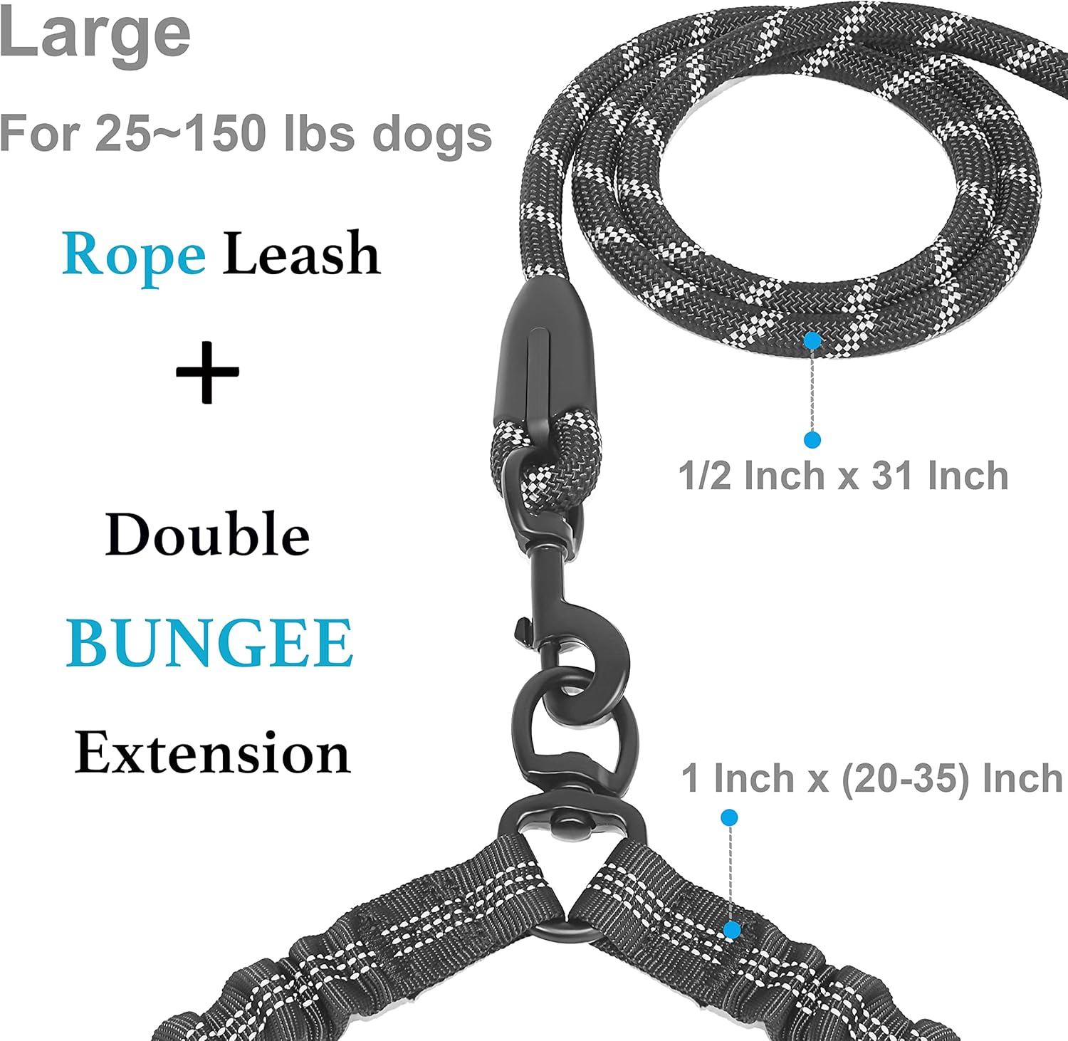 Tangle-Free Dual Dog Leash