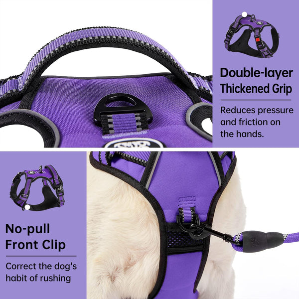 Easy Walk Dog Harness Set