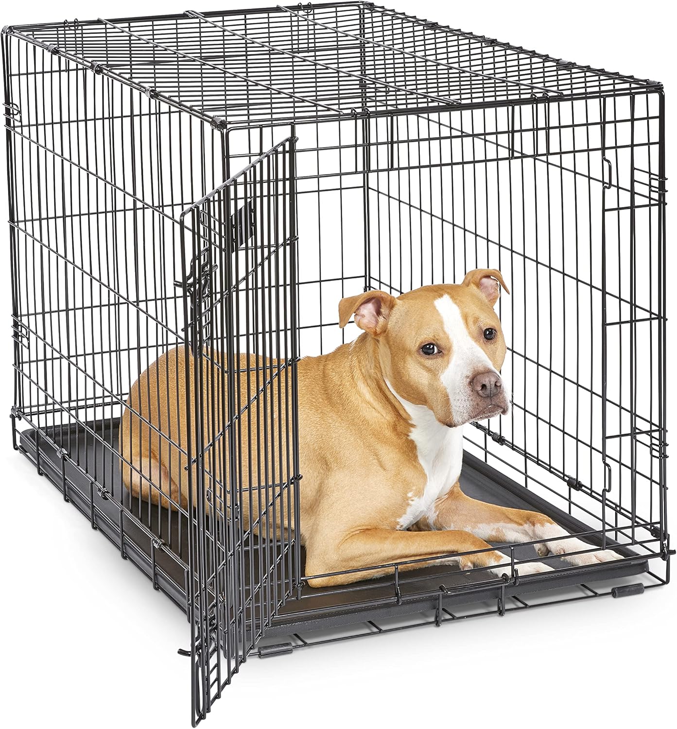 Ultimate Folding Dog Crate