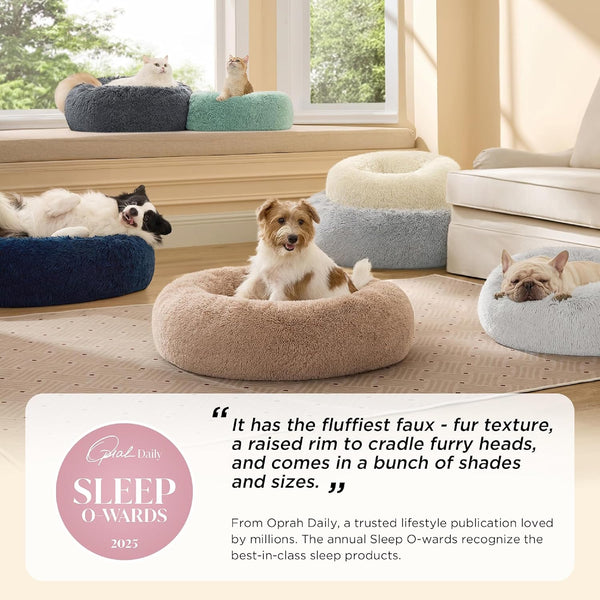 Cozy Comfort Pet Nest