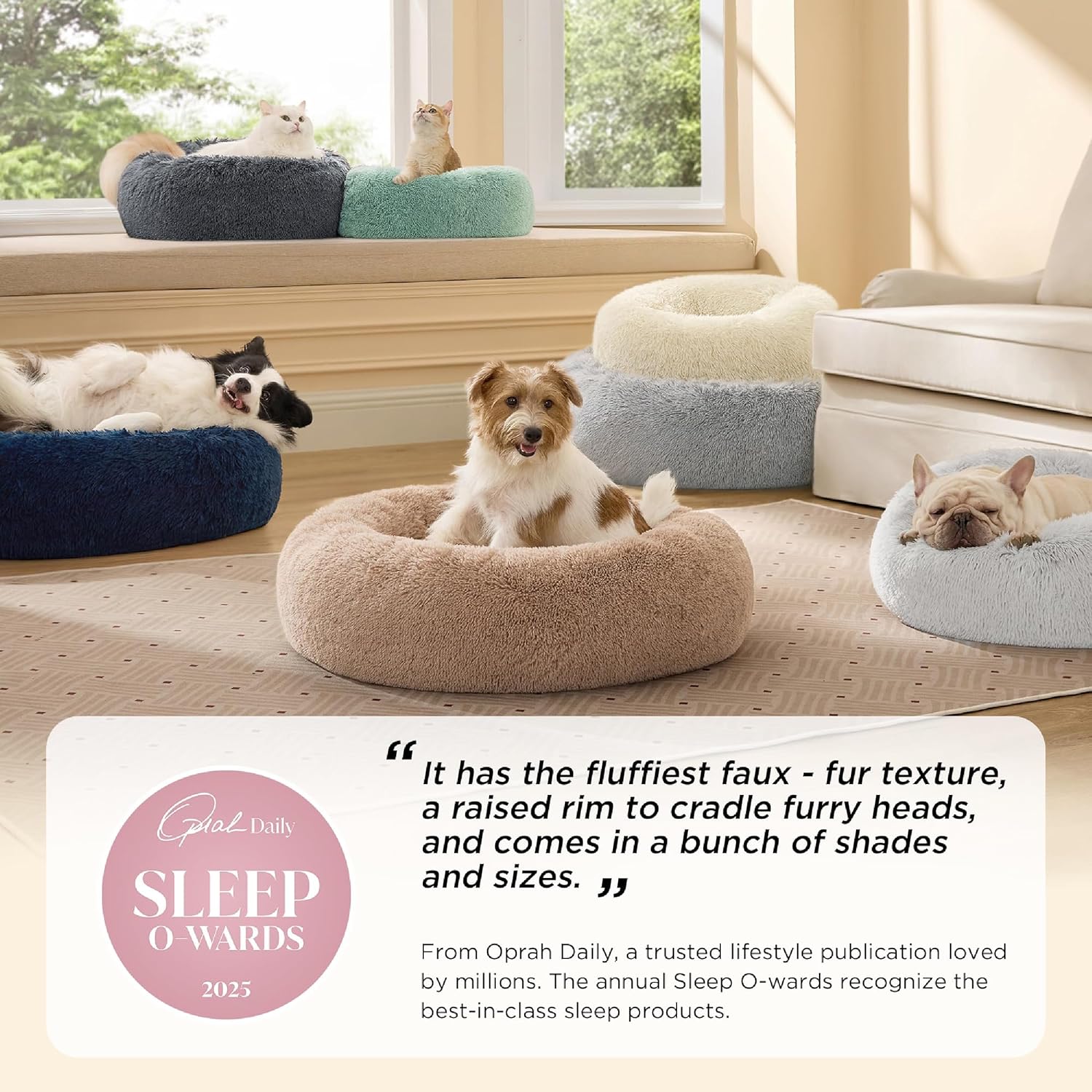 Cozy Comfort Pet Nest