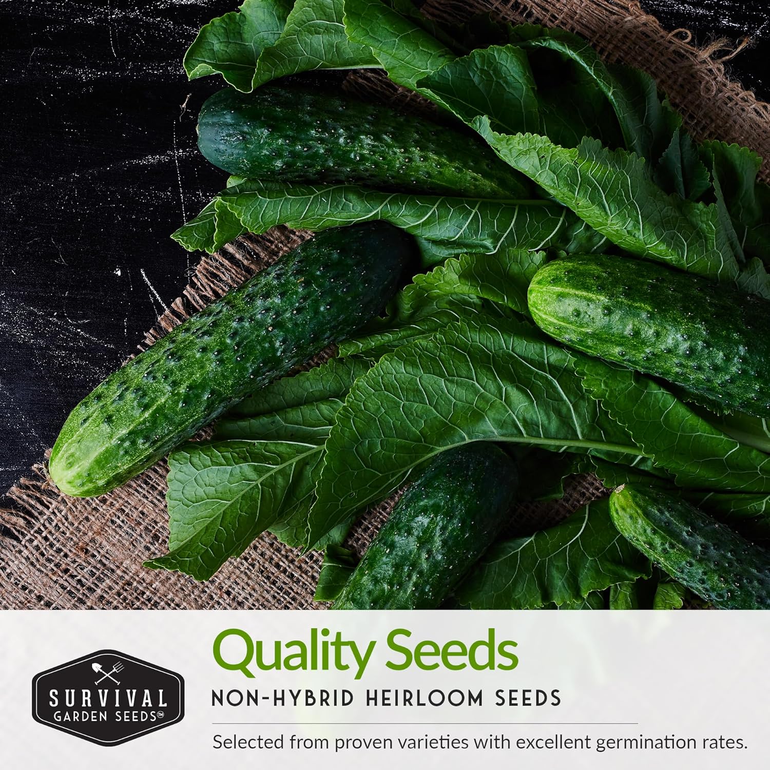 Heirloom Garden Seed Kit