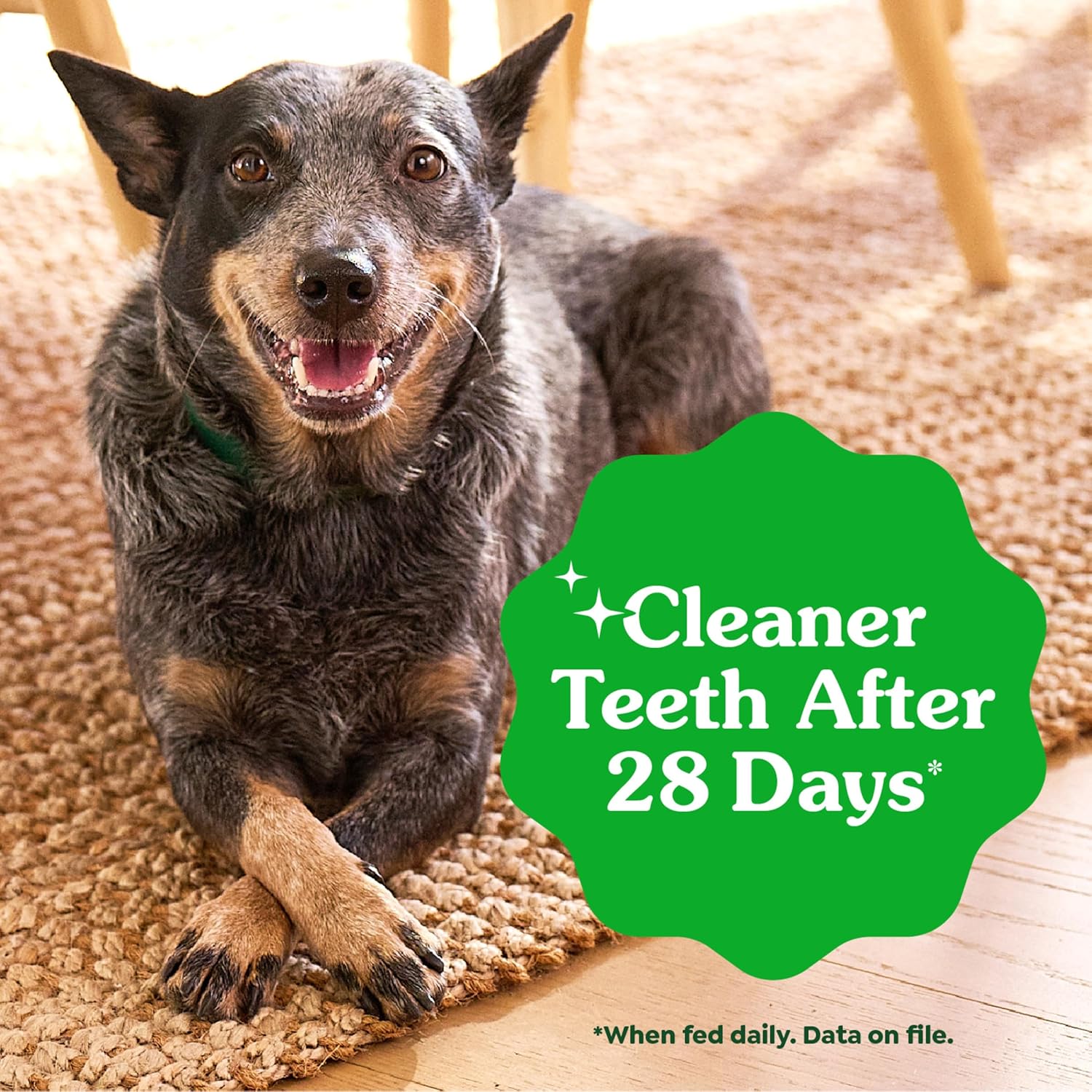 Teenie Size Dental Dog Chews