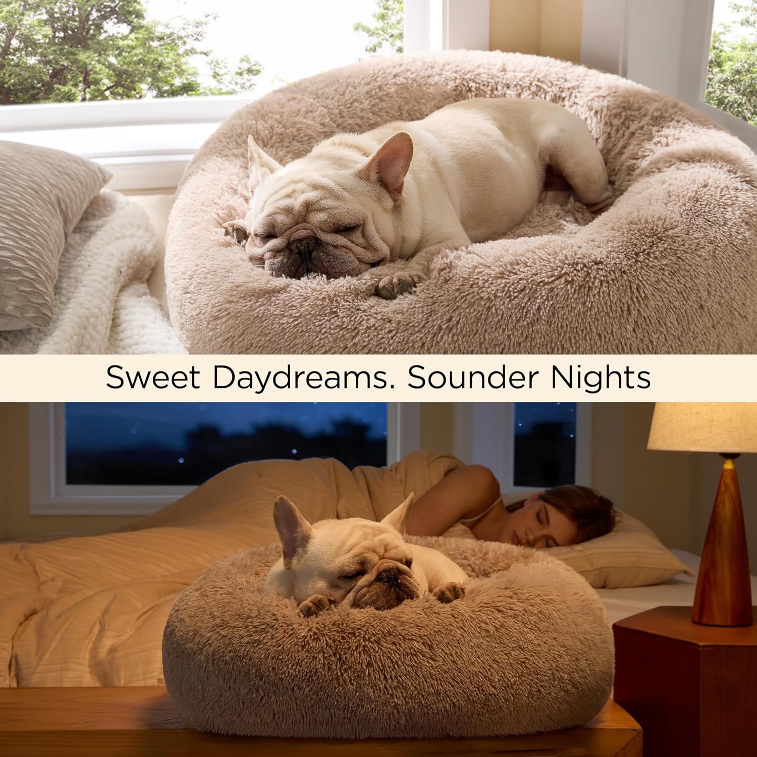 Cozy Comfort Pet Nest