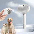 Steam Massage Dog Comb